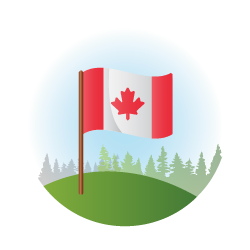 An illustration of a Canadian flag planted in grass